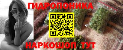 меф Кингисепп